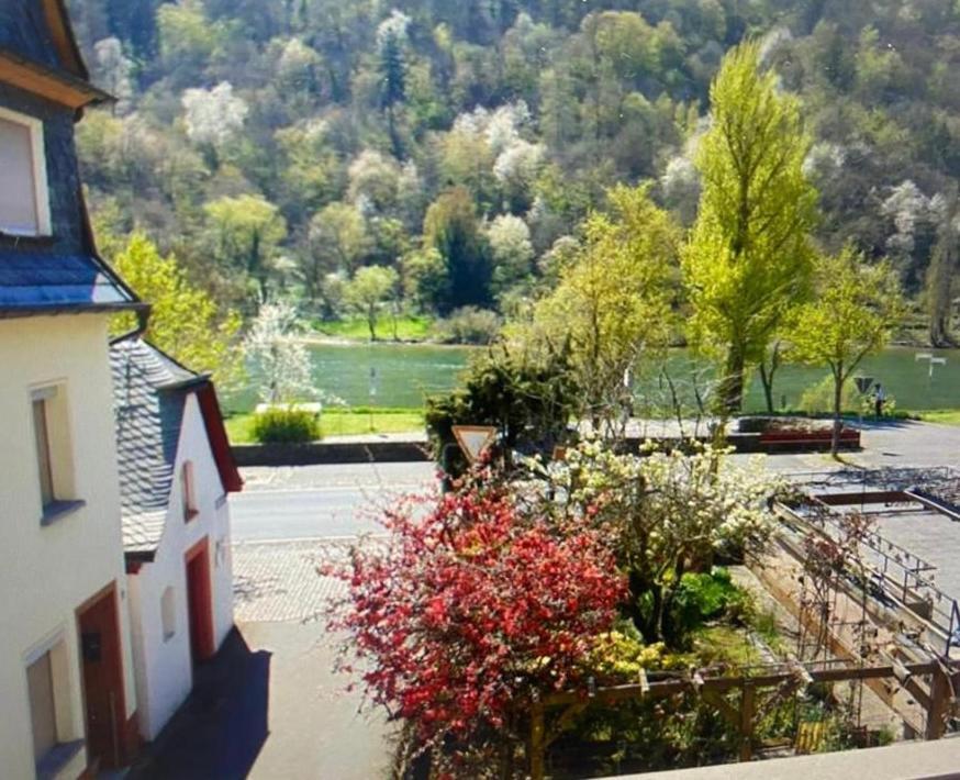 Ferienhaus Moselblick Am Kapellchen Ediger-Eller Exteriör bild